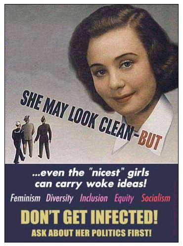 Fake Poster mocking "Woke" women.