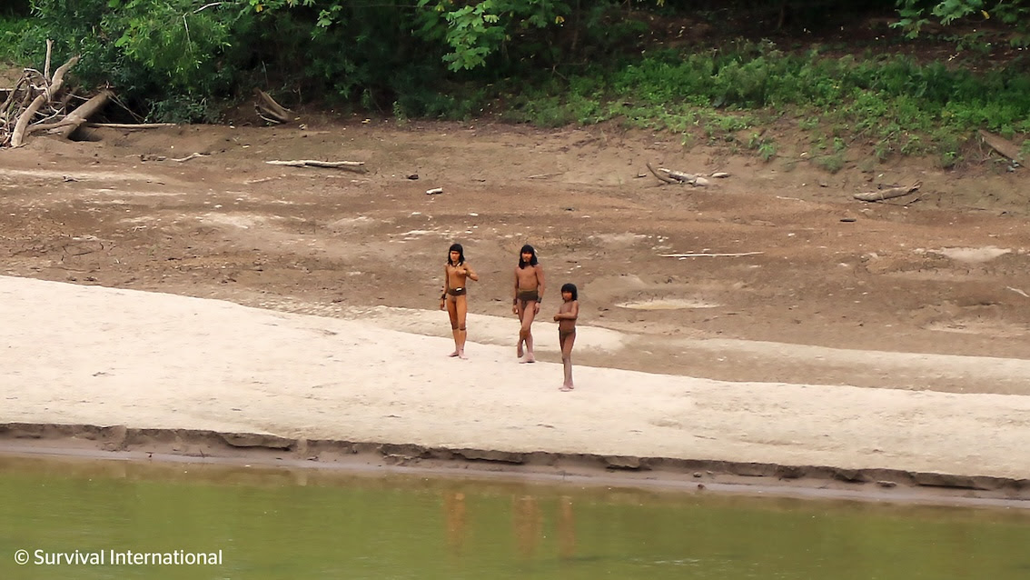 Mashco Piro men on the riverbank near the Yine village of Monte Salvado, in Southeast Peru.