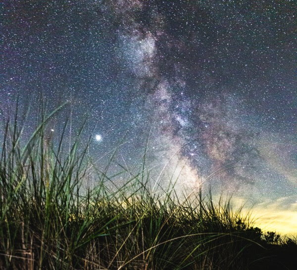 Tufts of dunegrass sway beneath a sea of stars.
