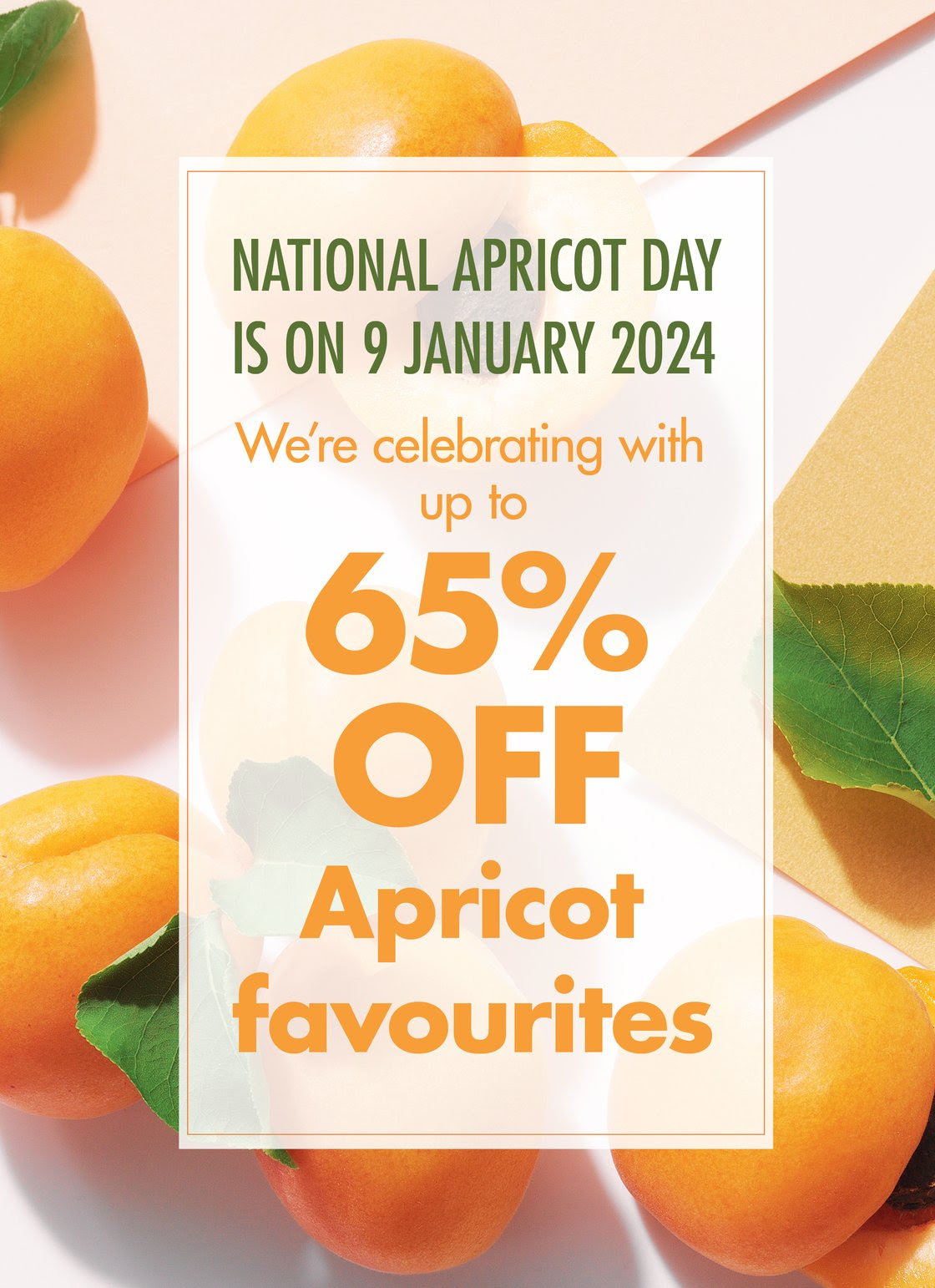 Apricot-65-1