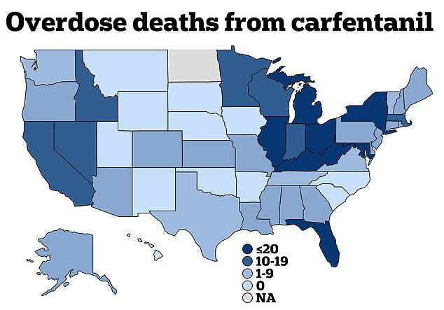 The CDC report included data from January 2023 to June 2024, with the number of overdose deaths that were attributed specifically to carfentanil. Four states did not participate in the analysis