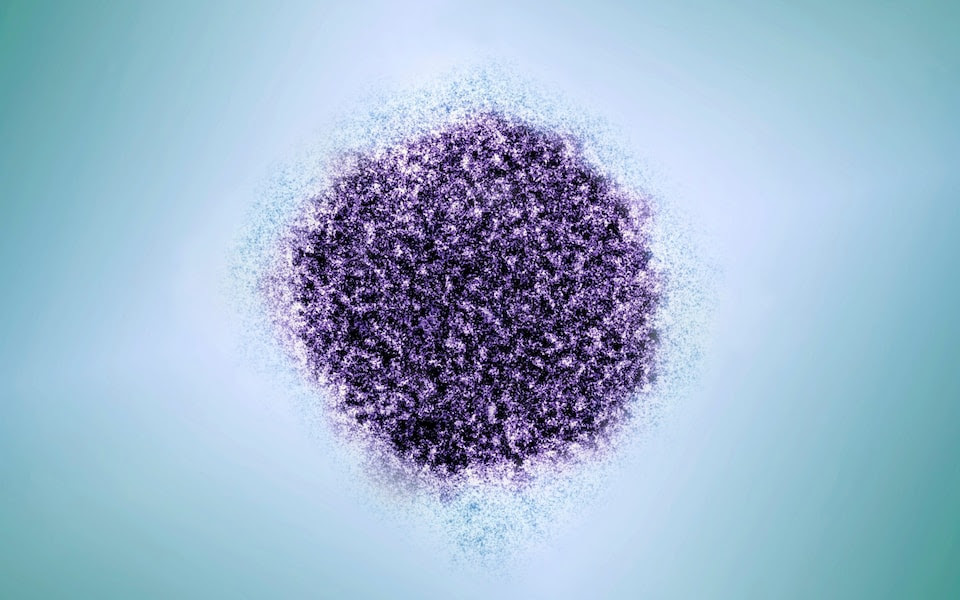 Digital illustration of the Hepatitis C strain of the virus