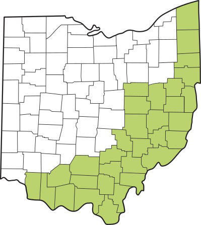 Ohio has 32 counties in the Appalachian Regional Commission, mostly along the Ohio River and the hill counties of Southeast Ohio.