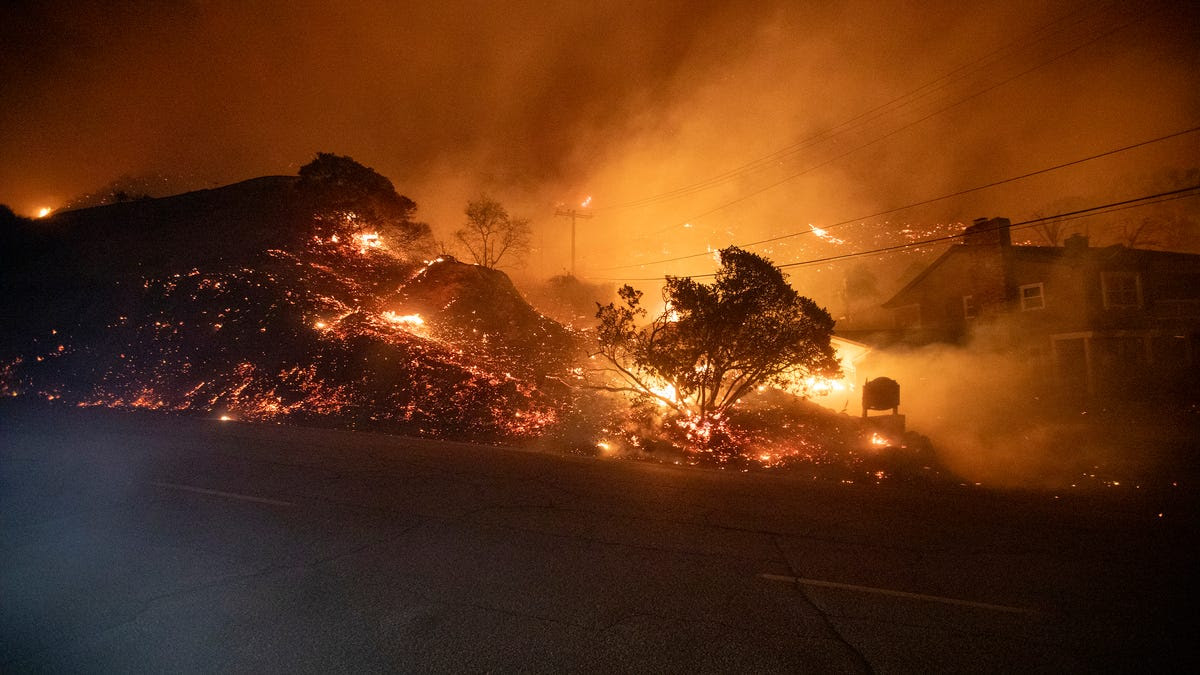 Destruction caused by the Eaton Fire near Altadena, California.