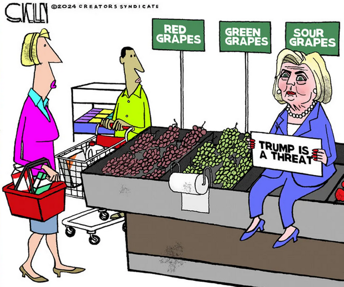 Cartoon of Hillary in the sour grapes aisle of store.