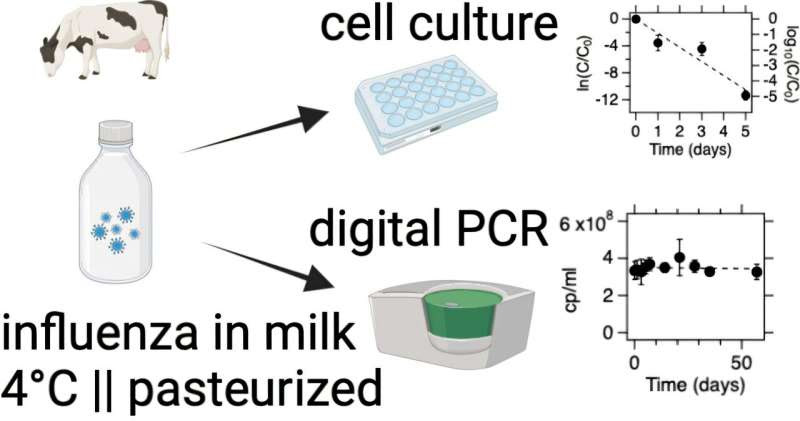 Study reveals flu virus remains infectious in refrigerated raw milk