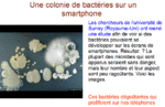 PAGE 4 / RECENSEMENT - LES CAUSES ET LES EFFETS