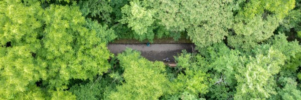 An aerial view of a forest, a trail peeking through an opening in the arbor.