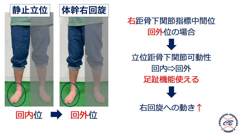 画像17