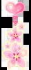 fleurs roses