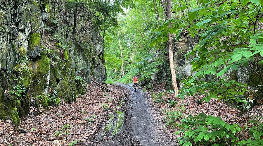 Paulinskill Valley Trail