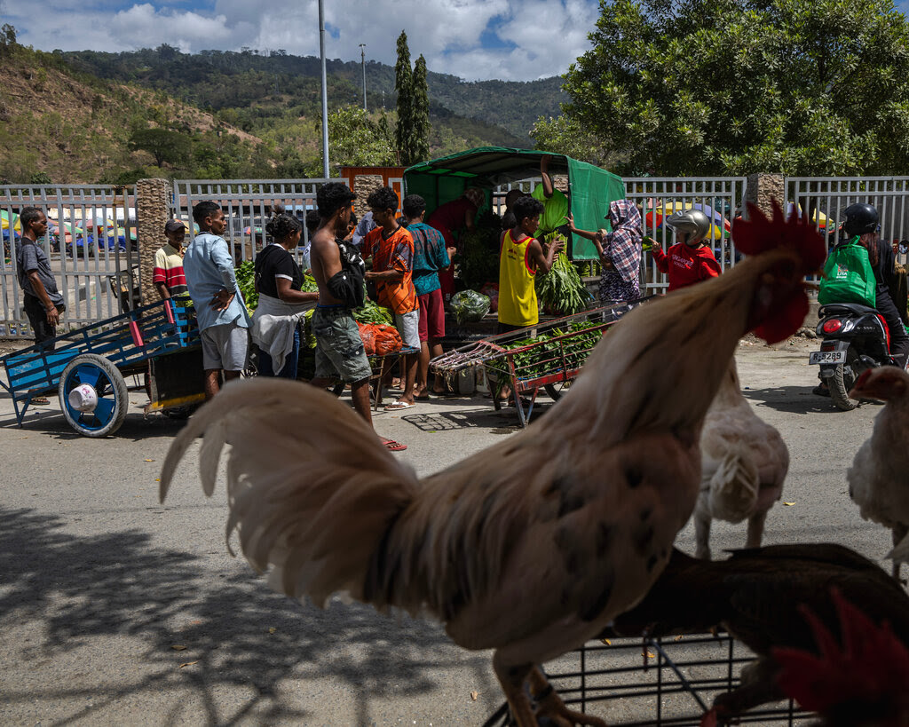 People buying produce from pushcarts and the bed of a small truck. In the foreground are chickens for sale.