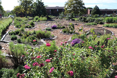 Governors Island Teaching Garden