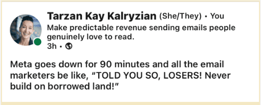 Screenshot from Tarzan's LinkedIn post saying: Meta goes down for 90 minutes and all the email marketers be like, "I TOLD YOU SO< LOSERS! Never build on borrowed land!"