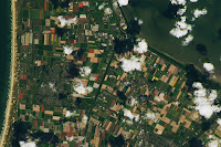 Flower farms in the Netherlands