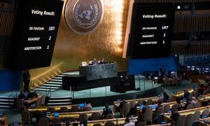 La Asamblea General de la ONU vota sobre la necesidad de poner fin al embargo económico, comercial y financiero impuesto por Estados Unidos contra Cuba.