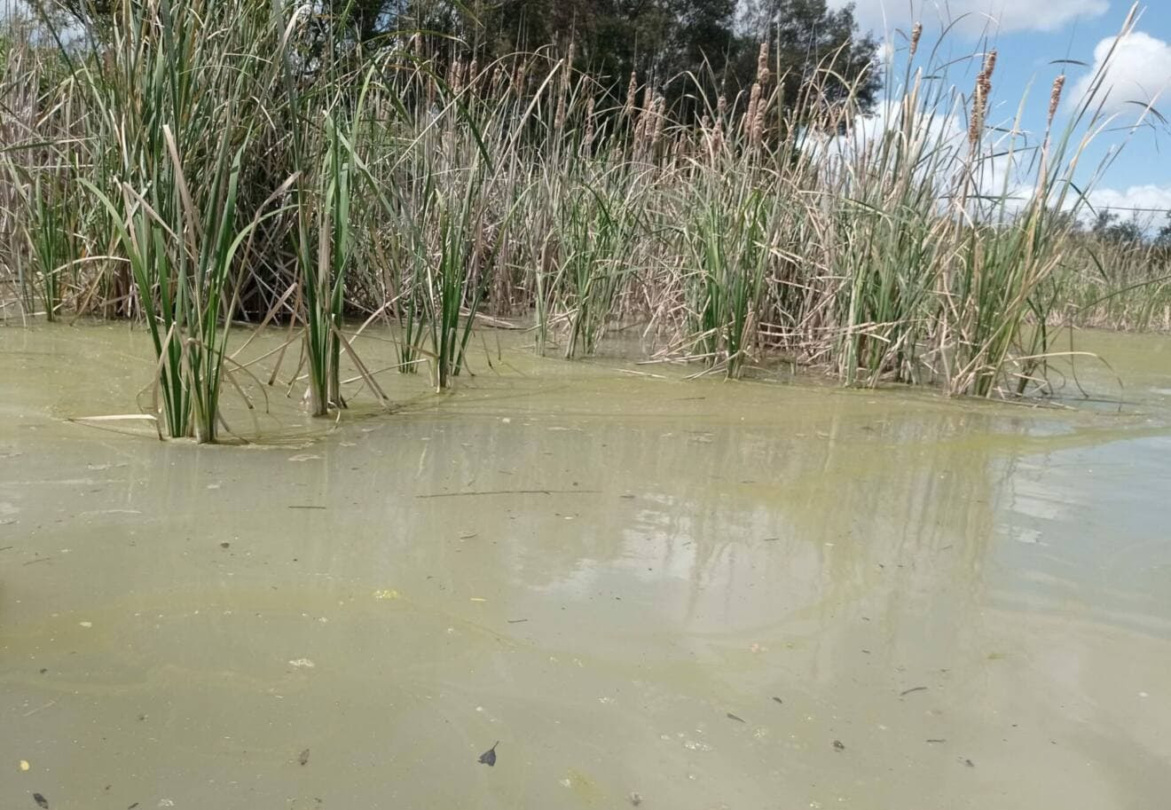 La Junta posibilita la prescripción de medidas sancionadoras y de restauración del medio ambiente