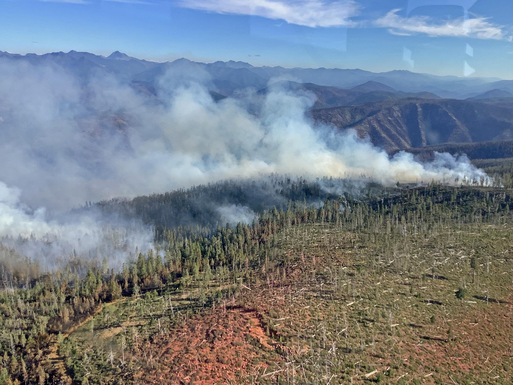 Aerial view of billowing smoke over a heavily forested area.