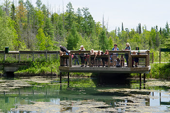 Children enjoy a school outing on an observation deck at Oden State Fish Hatchery and Visitor Center.