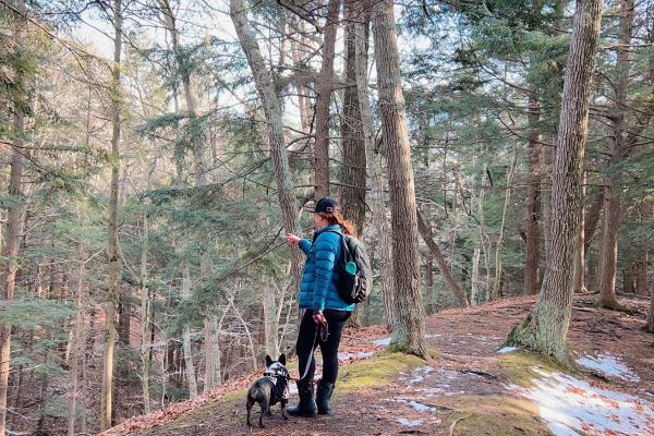 A hiker and their dog trek along a forested ridge.