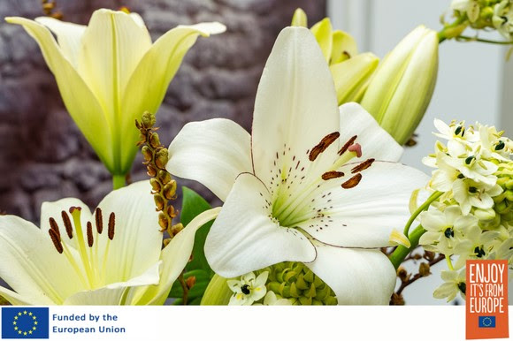 Lily flowers