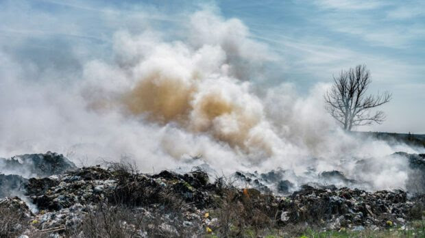 Vast majority of corporations not measuring nature or plastics impacts, study finds