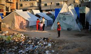 Las condiciones insalubres de los refugios y otras zonas contribuyen directamente a la crisis humanitaria de Gaza.