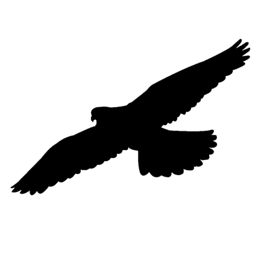 Site logo image