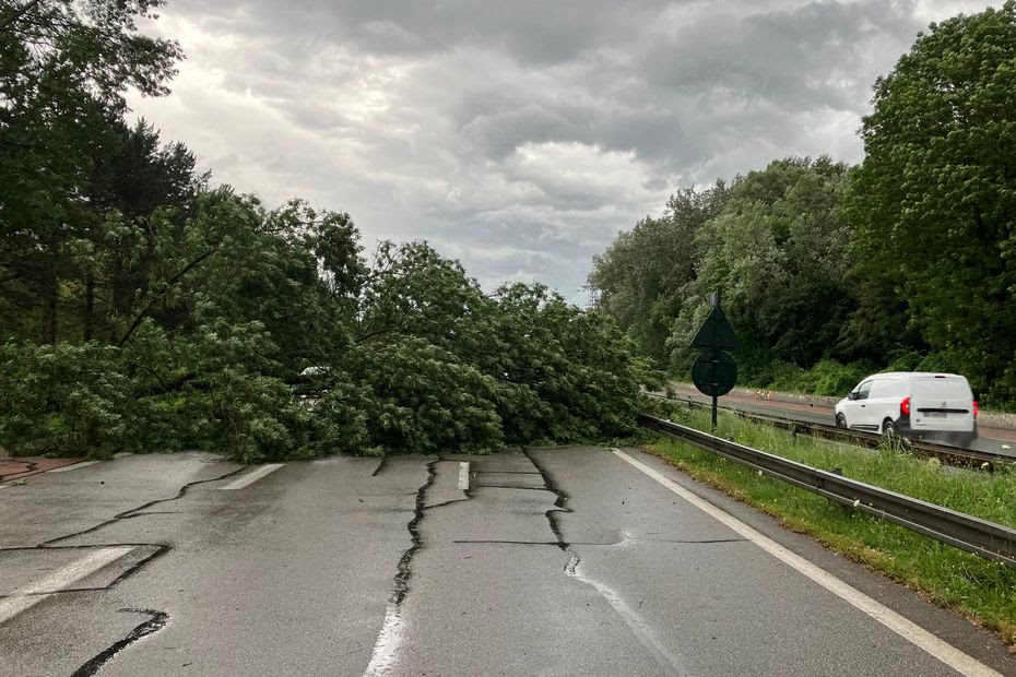 Intempéries dans les Alpes : le festival Musilac interrompu en Savoie, la voie rapide de Grenoble bloquée après la chute d'un arbre