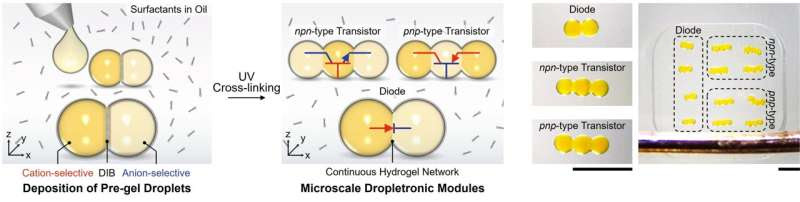 Bioinspired droplet-based systems herald a new era in biocompatible devices