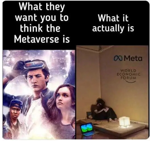 Meme showing the Metaverse to be depressing.