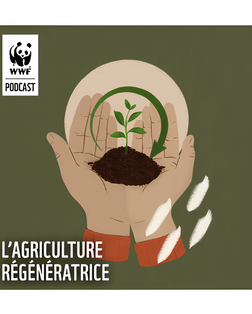 Episode 8 : L'agriculture régénératrice