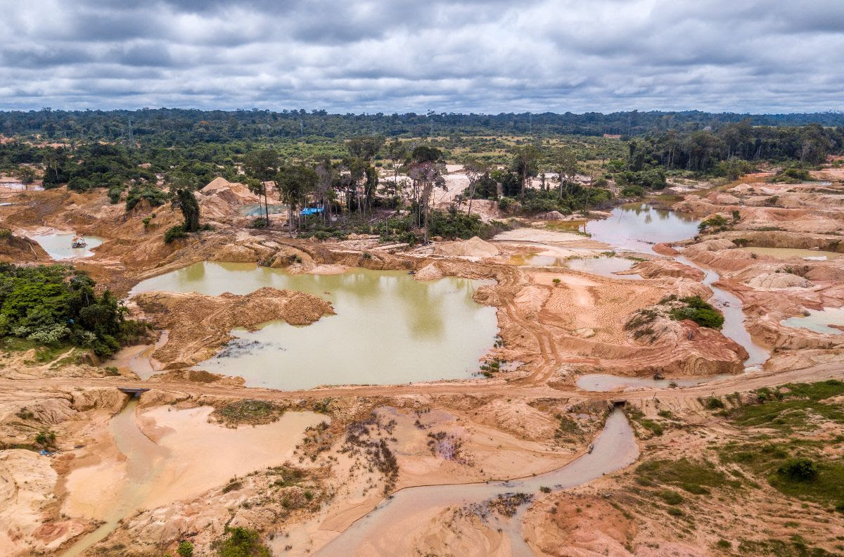 Mine d'or au coeur de l'Amazonie