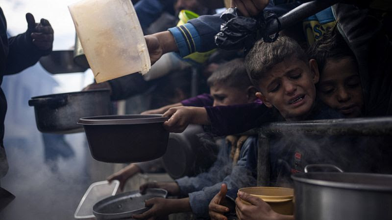 Over 281 million people faced acute hunger in 2023, with the worst famine in Gaza, UN says 800x450_cmsv2_842542ef-3158-54eb-8e75-728aa37c6265-8398778