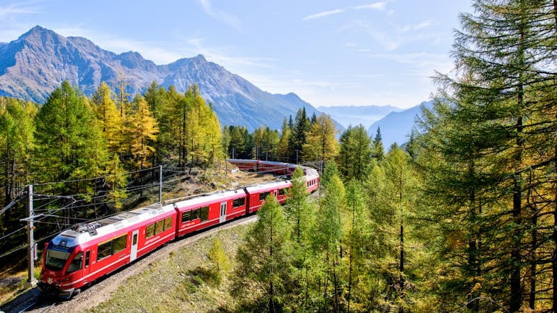 red and white train near trees during daytime