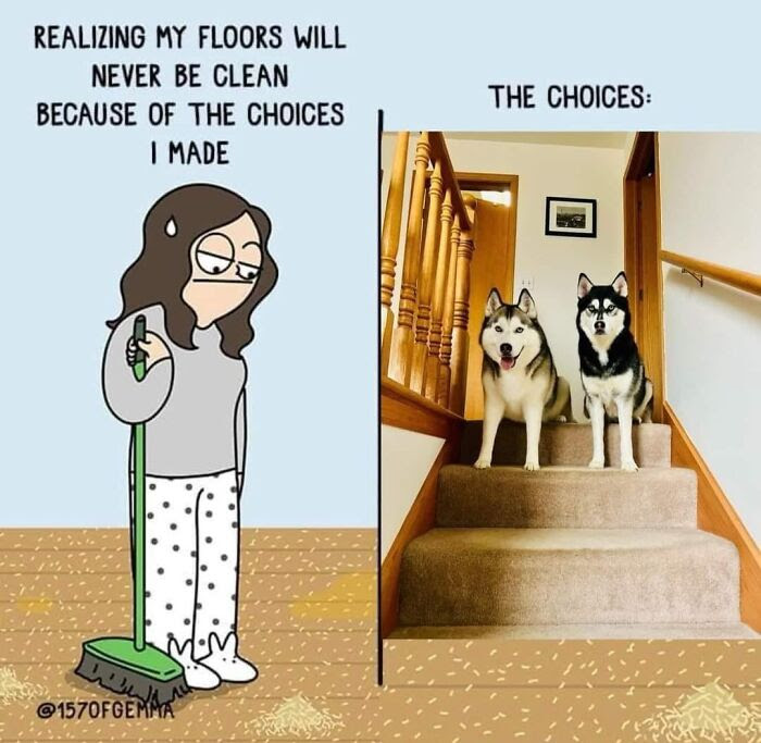 Hilarious-Dog-Memes