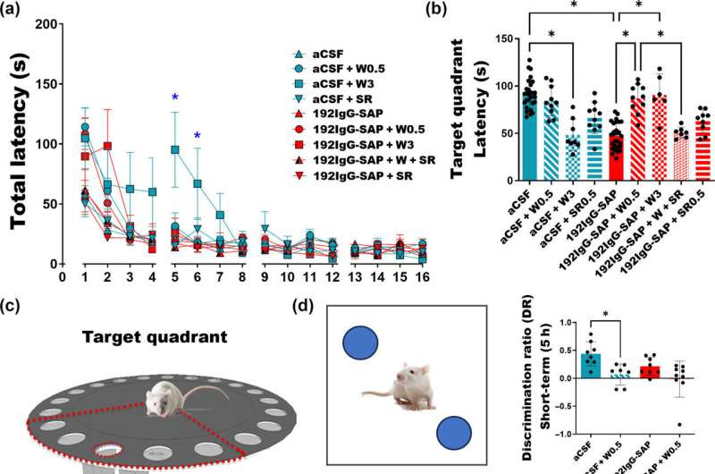 Molecule shown to produce cognitive improvement in rodents with early Alzheimer's disease