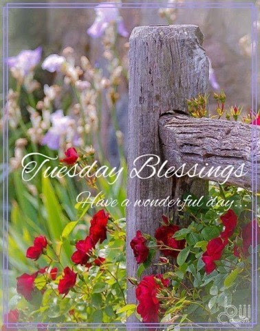 Tuesday-Blessings-Wonderful-Day