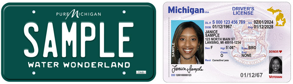 sample license plate and driver's license