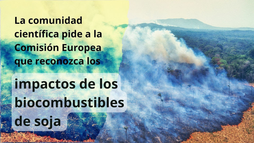 La comunidad científica pide a la Comisión Europea que reconozca los impactos de los biocombustibles de soja