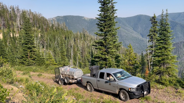 FWP truck towing trap with grizzly inside