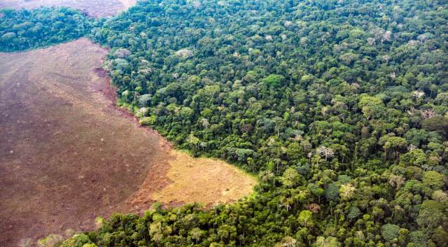 Luchtfoto van de Congolese veenwouden van Kinshasa tot Mbandaka, boven de provincie Mai-Ndombe.
