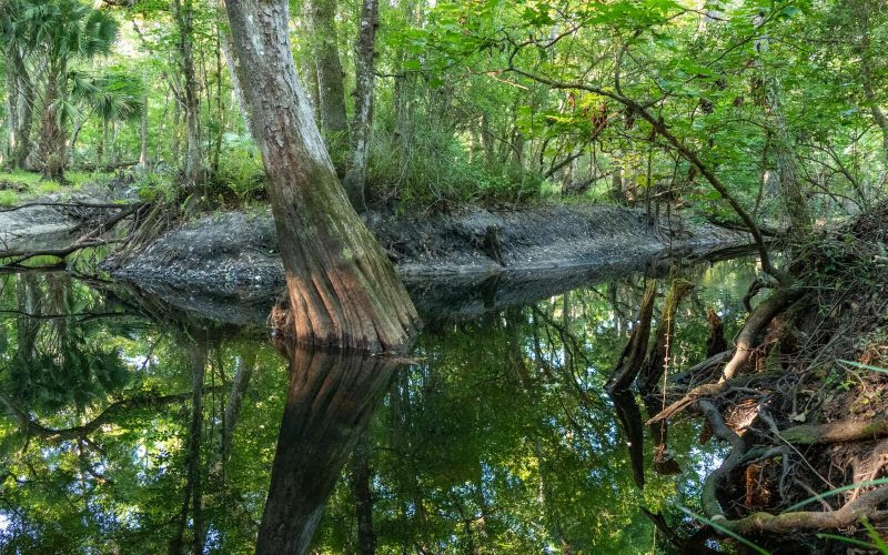 Hal Scott Regional Preserve and Park