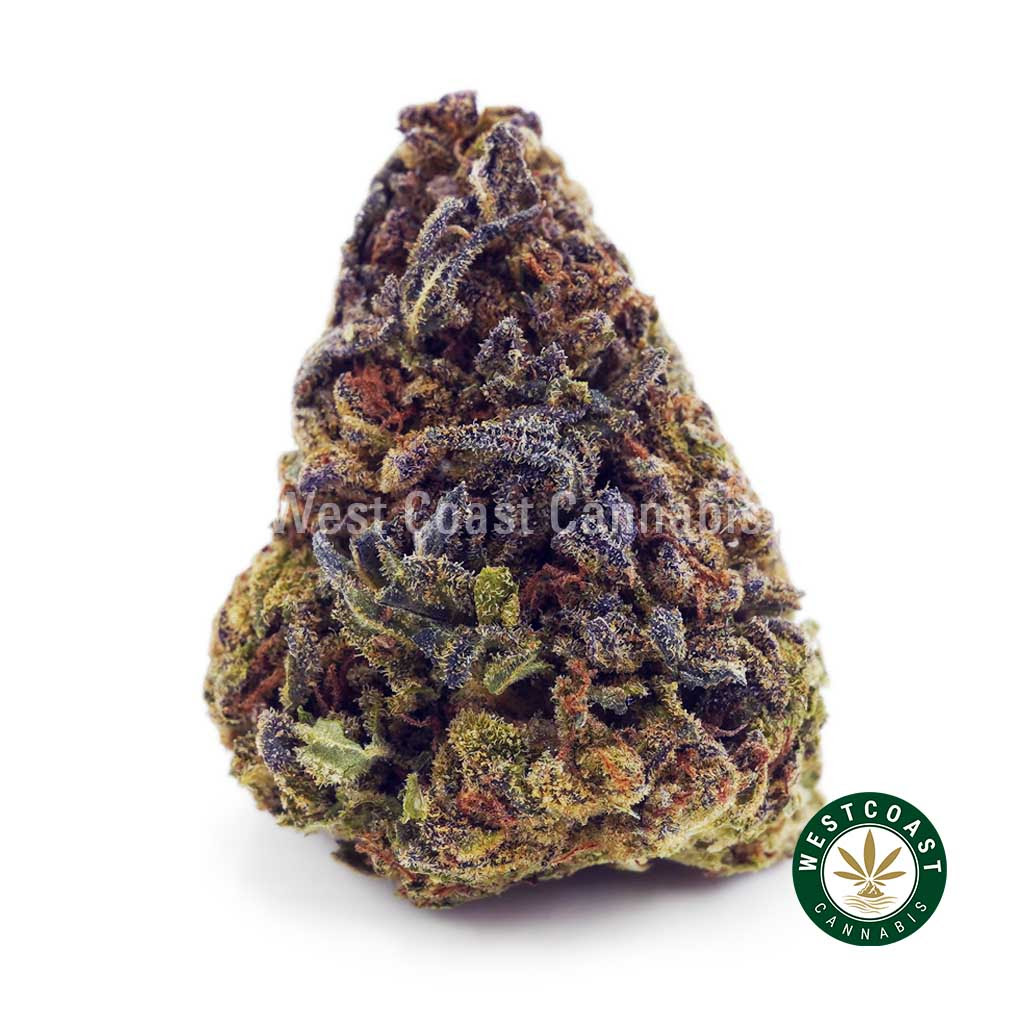 Image of Romulan AA - Green House