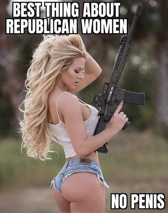 Meme extolling virtues of Republican woman.