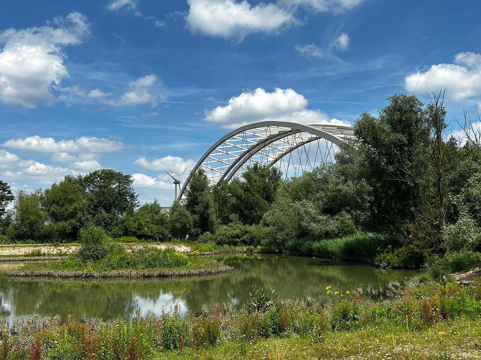 Het eiland met de Van Brienenoordbrug.