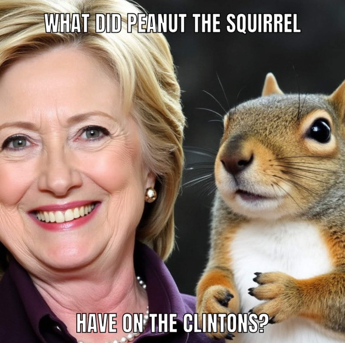 Peanut the squirrel death blamed on Hillary.