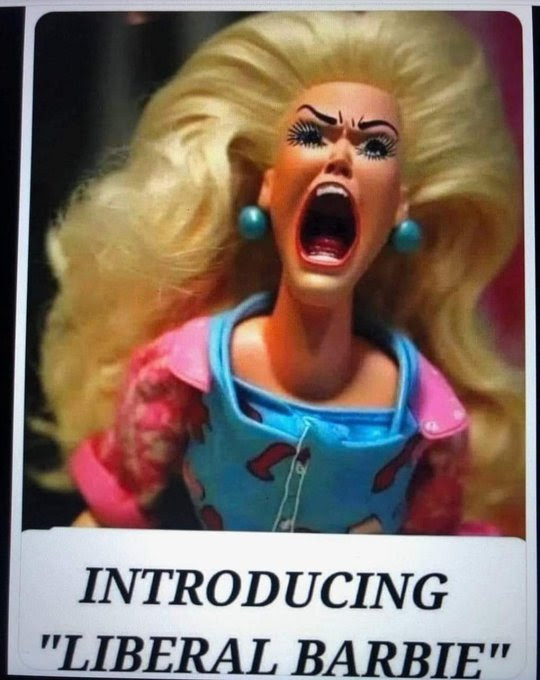 Picture of angry Barbie Doll.