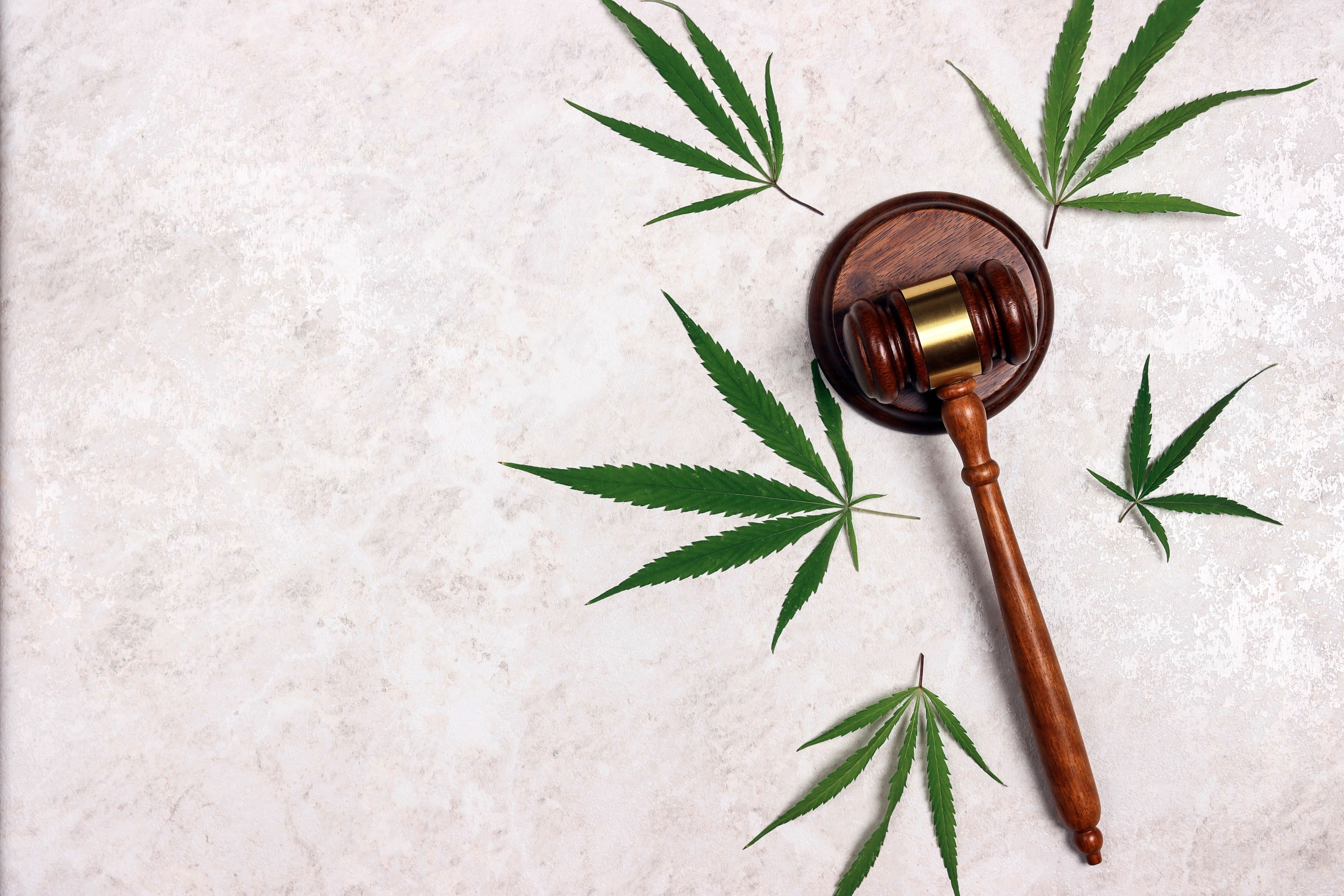 Judge gavel with cannabis