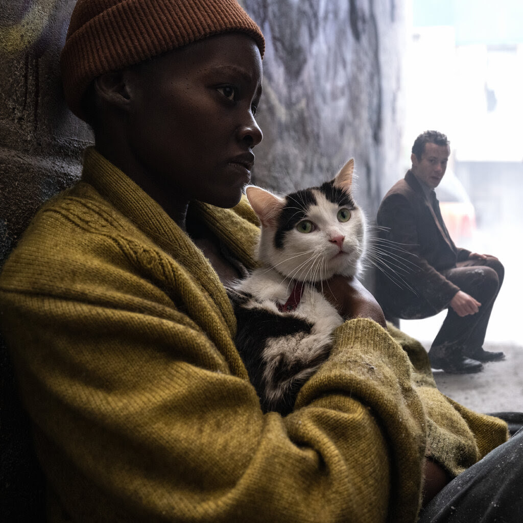 In a movie still, a woman wearing a yellow sweater and an orange beanie sits behind a dumpster in an alley, holding a black and white cat. A man in the background also crouches in the alley.